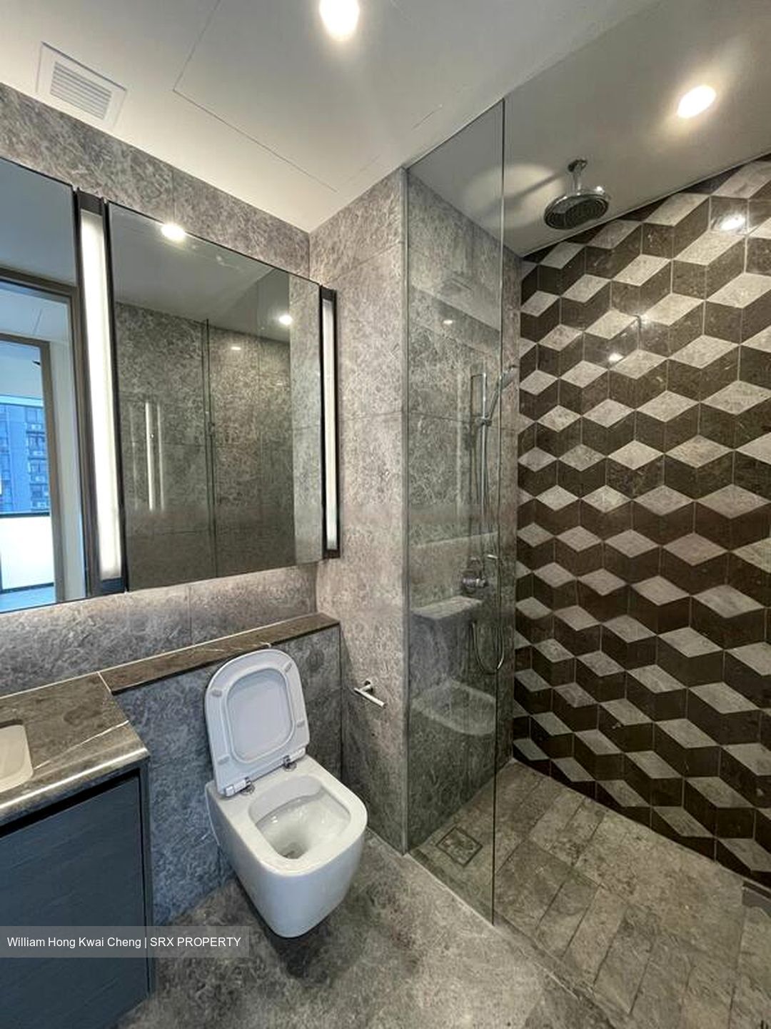 Leedon Green (D10), Condominium #462085961